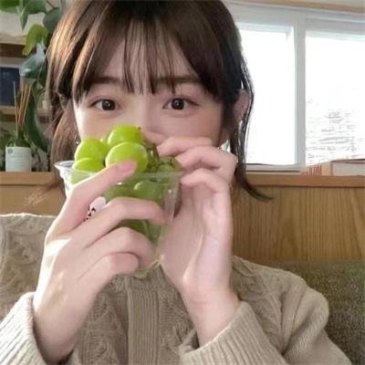 金毛喜迎冬