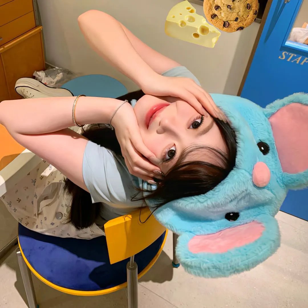追星星的人2